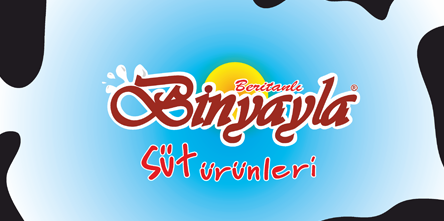 Firma Scripti